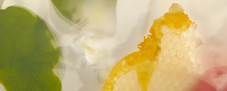 test_img